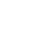 blooming stories